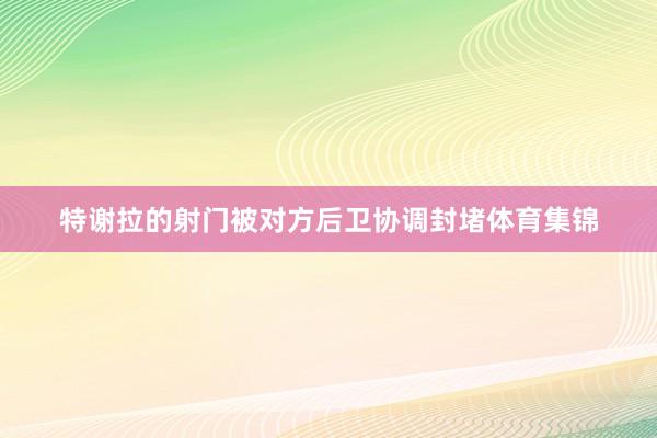 特谢拉的射门被对方后卫协调封堵体育集锦