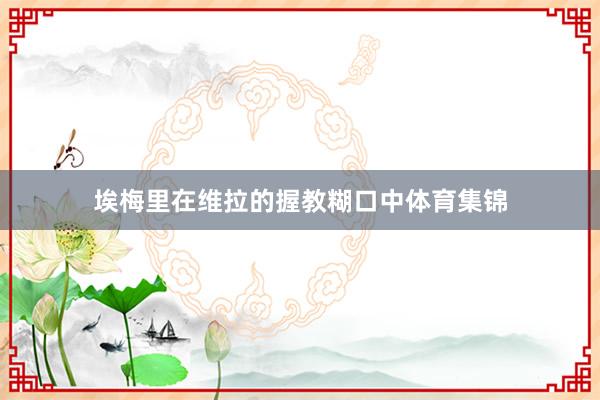 埃梅里在维拉的握教糊口中体育集锦