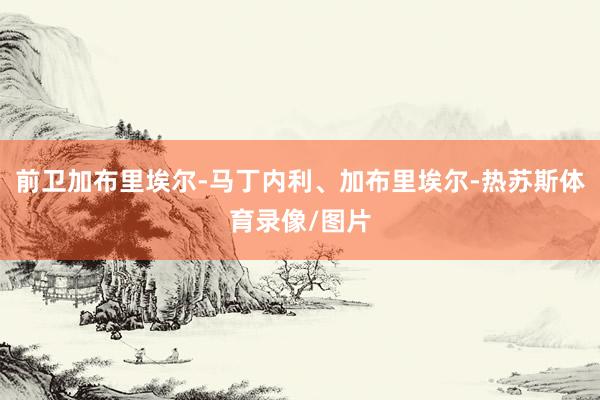 前卫加布里埃尔-马丁内利、加布里埃尔-热苏斯体育录像/图片