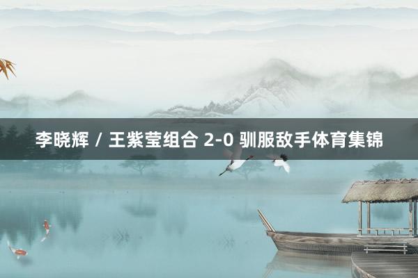 李晓辉 / 王紫莹组合 2-0 驯服敌手体育集锦