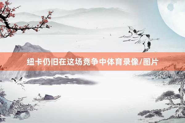 纽卡仍旧在这场竞争中体育录像/图片