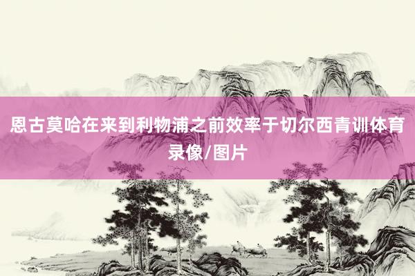 恩古莫哈在来到利物浦之前效率于切尔西青训体育录像/图片