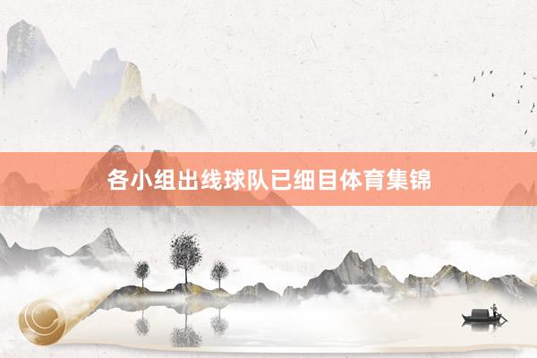 各小组出线球队已细目体育集锦