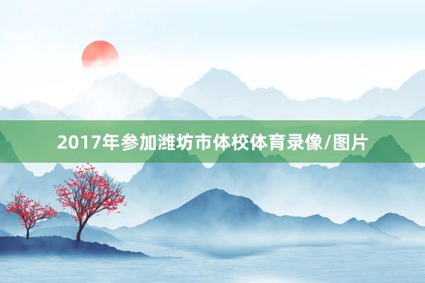 2017年参加潍坊市体校体育录像/图片