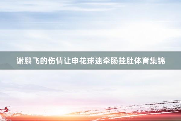 谢鹏飞的伤情让申花球迷牵肠挂肚体育集锦