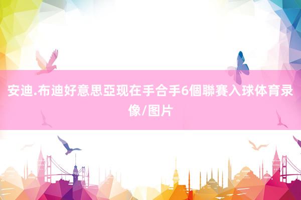 安迪.布迪好意思亞现在手合手6個聯賽入球体育录像/图片