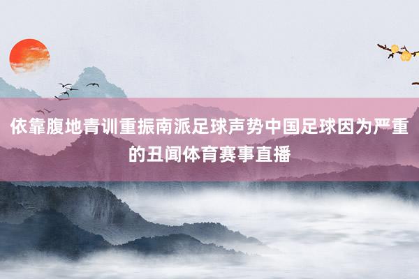 依靠腹地青训重振南派足球声势中国足球因为严重的丑闻体育赛事直播