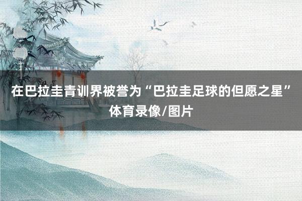 在巴拉圭青训界被誉为“巴拉圭足球的但愿之星”体育录像/图片