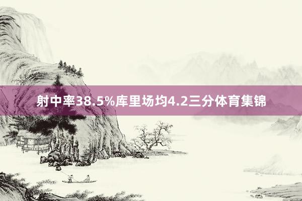 射中率38.5%库里场均4.2三分体育集锦