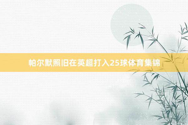 帕尔默照旧在英超打入25球体育集锦