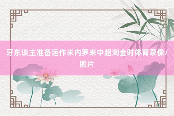 牙东谈主准备运作米内罗来中超淘金时体育录像/图片