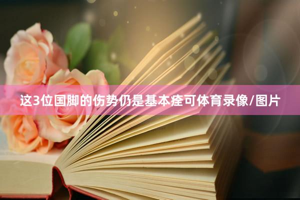 这3位国脚的伤势仍是基本痊可体育录像/图片
