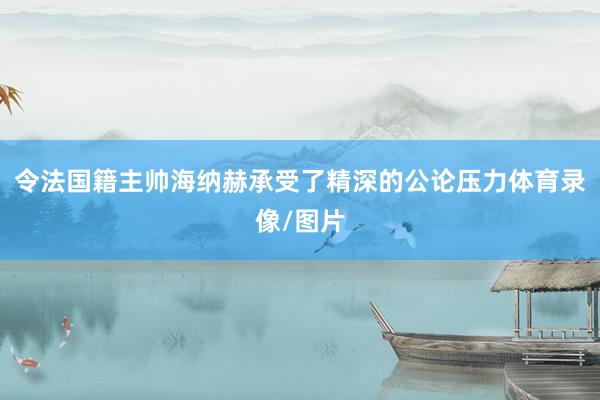 令法国籍主帅海纳赫承受了精深的公论压力体育录像/图片