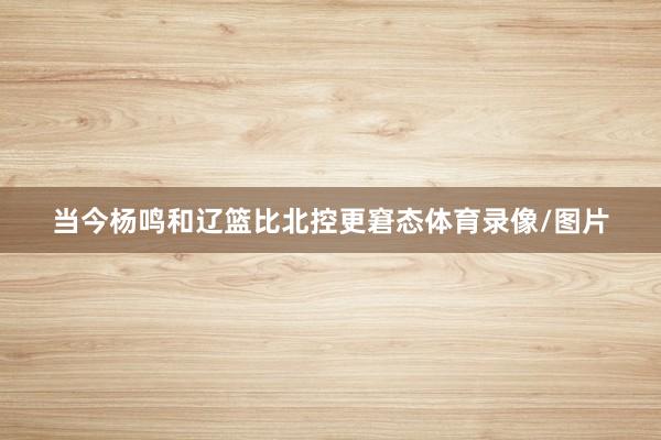 当今杨鸣和辽篮比北控更窘态体育录像/图片
