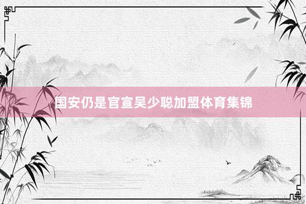 国安仍是官宣吴少聪加盟体育集锦