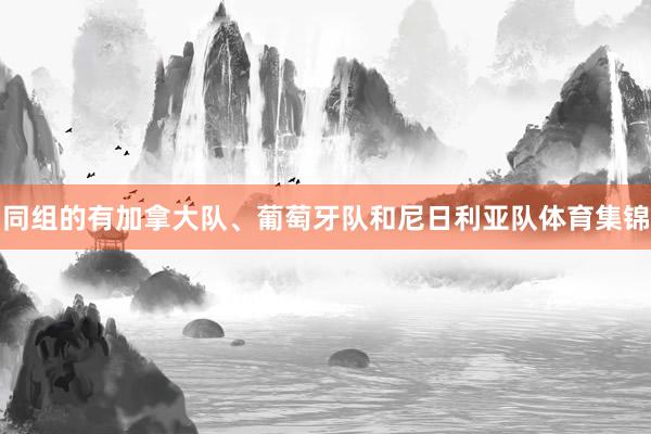 同组的有加拿大队、葡萄牙队和尼日利亚队体育集锦