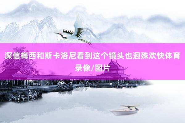 深信梅西和斯卡洛尼看到这个镜头也迥殊欢快体育录像/图片