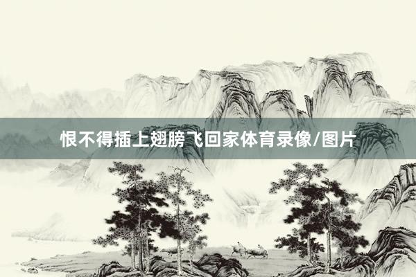 恨不得插上翅膀飞回家体育录像/图片