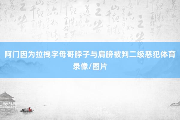 阿门因为拉拽字母哥脖子与肩膀被判二级恶犯体育录像/图片
