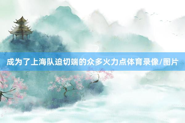 成为了上海队迫切端的众多火力点体育录像/图片