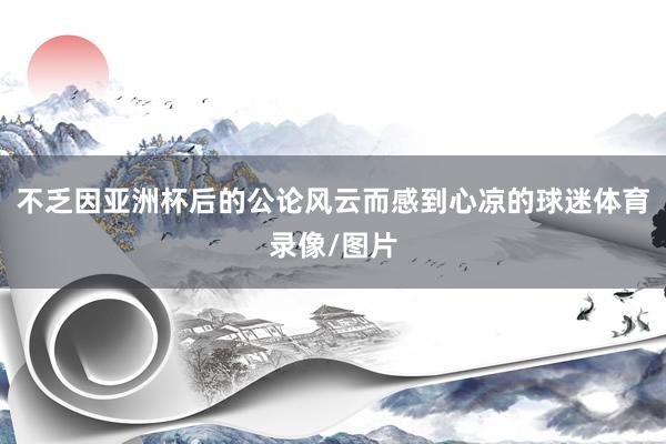 不乏因亚洲杯后的公论风云而感到心凉的球迷体育录像/图片